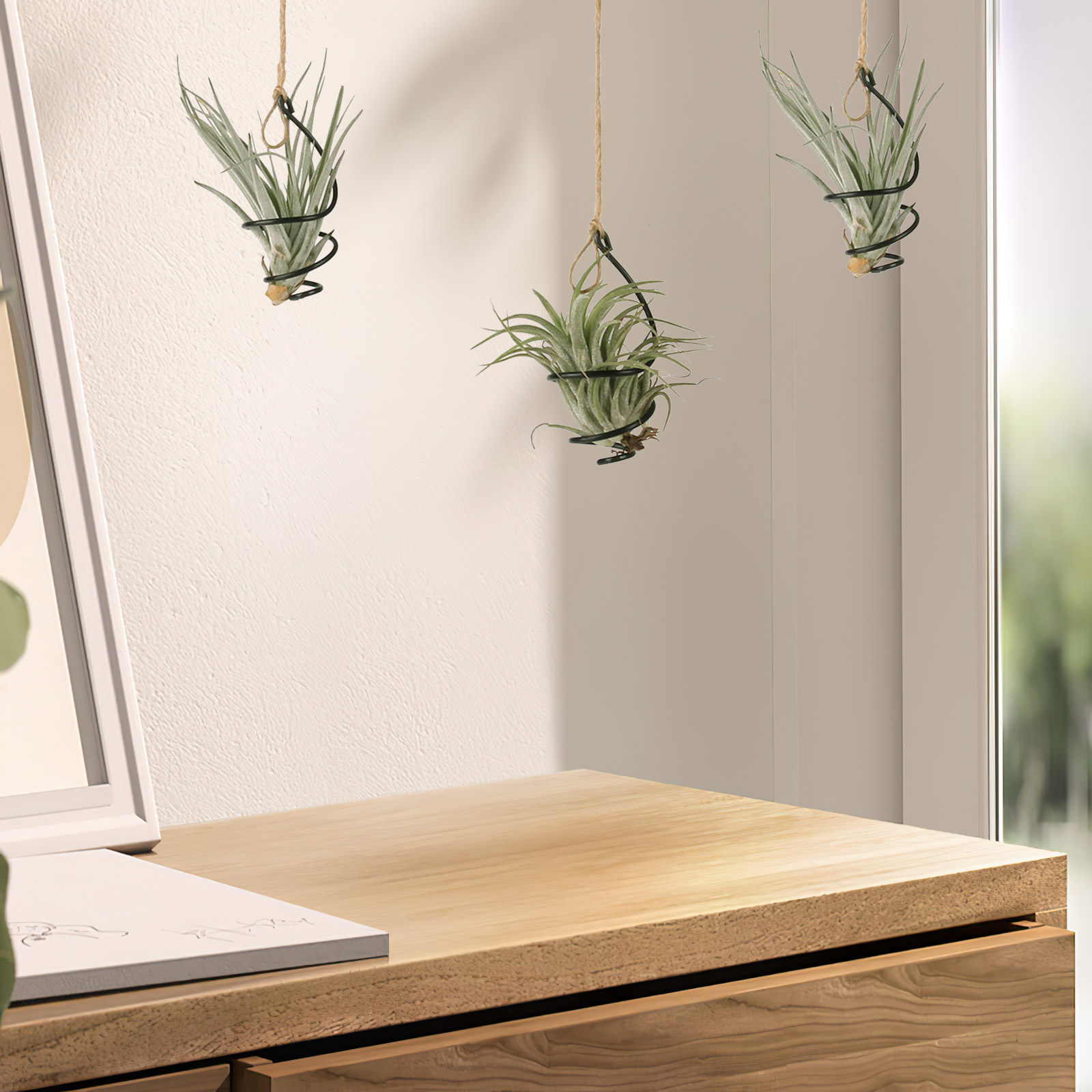 Air Plant Tillandsia - 12 Set Penyangga Tanaman Udara Spiral