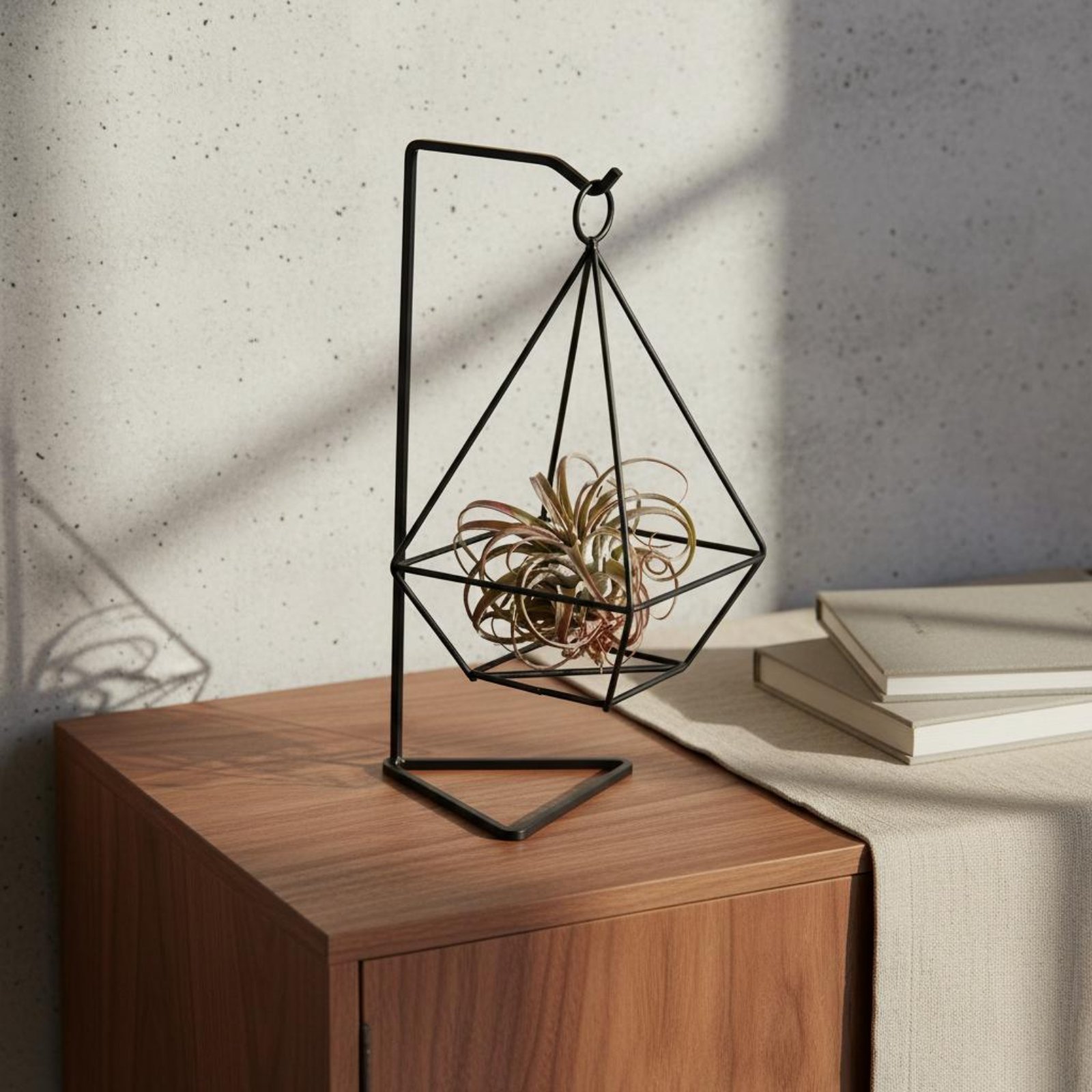 Air Plant Tillandsia - Tempat Tanaman Udara Geometris Desain Minimalis