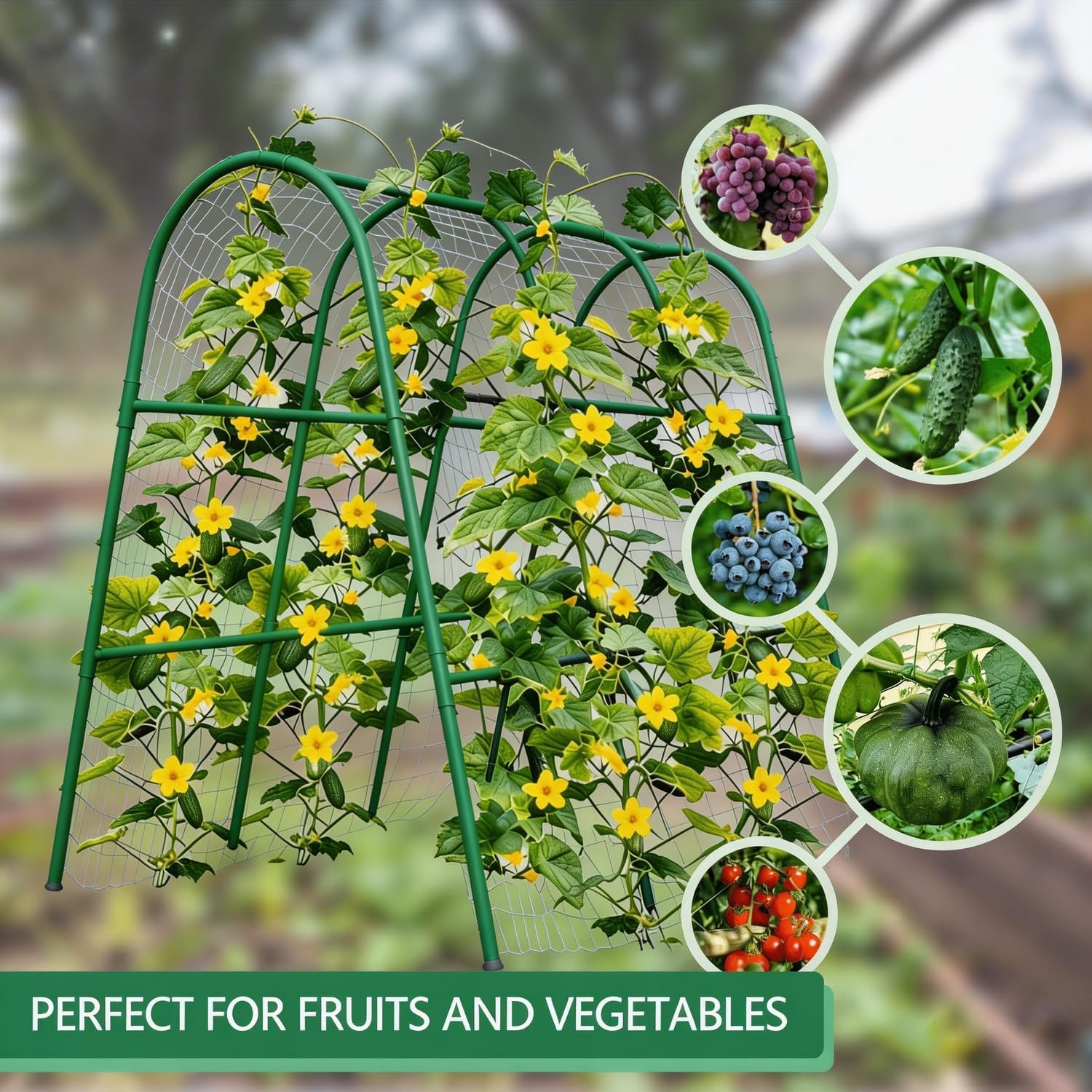 Trellis Lengkung Taman 4x5.3FT - Plants X ulasan dan harga