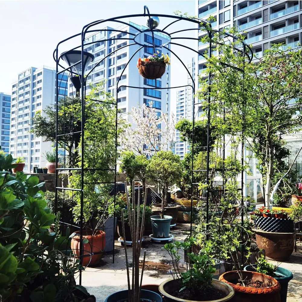 Gazebo Taman Gaya Prancis, Ben - Plants X ulasan dan harga