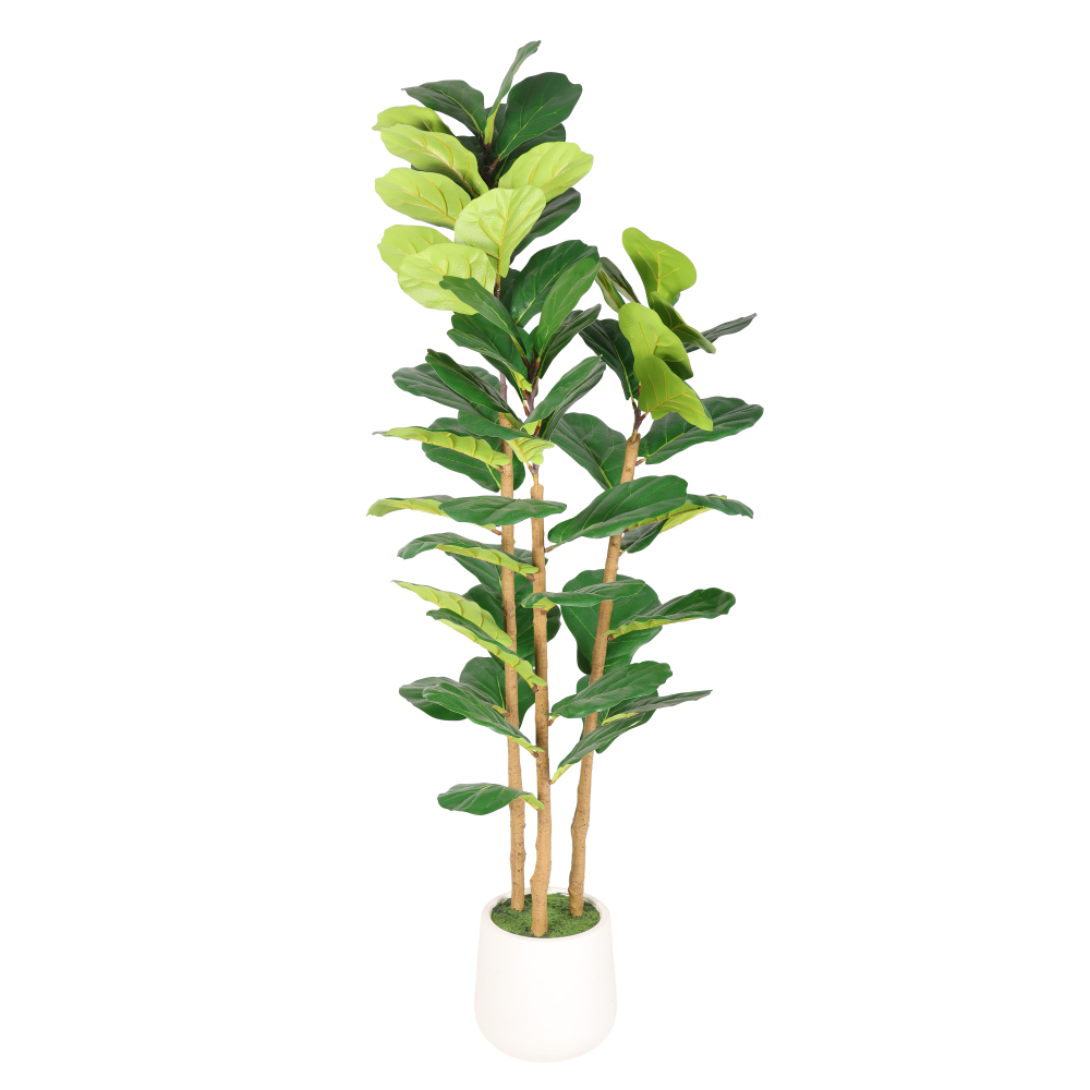 Pohon Fiddle Leaf Fig Buatan 5 - Fiddle Leaf Fig ulasan dan harga